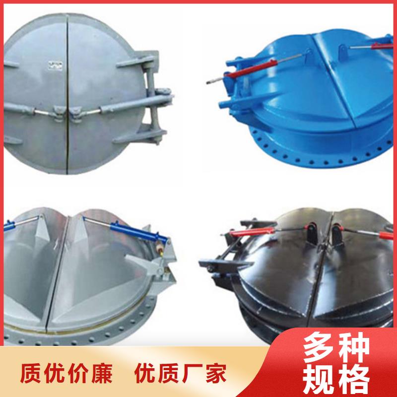 拍門側(cè)開式拍門廠家批量現(xiàn)貨我們更專業(yè)