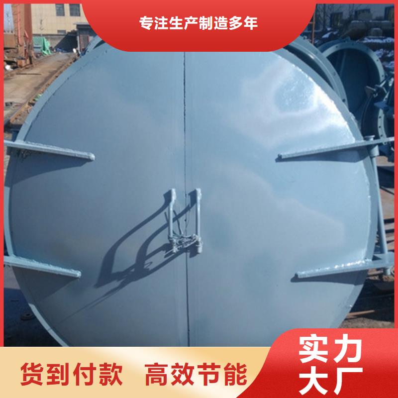 側(cè)開式拍門單開拍門海禹水利隨到隨提
