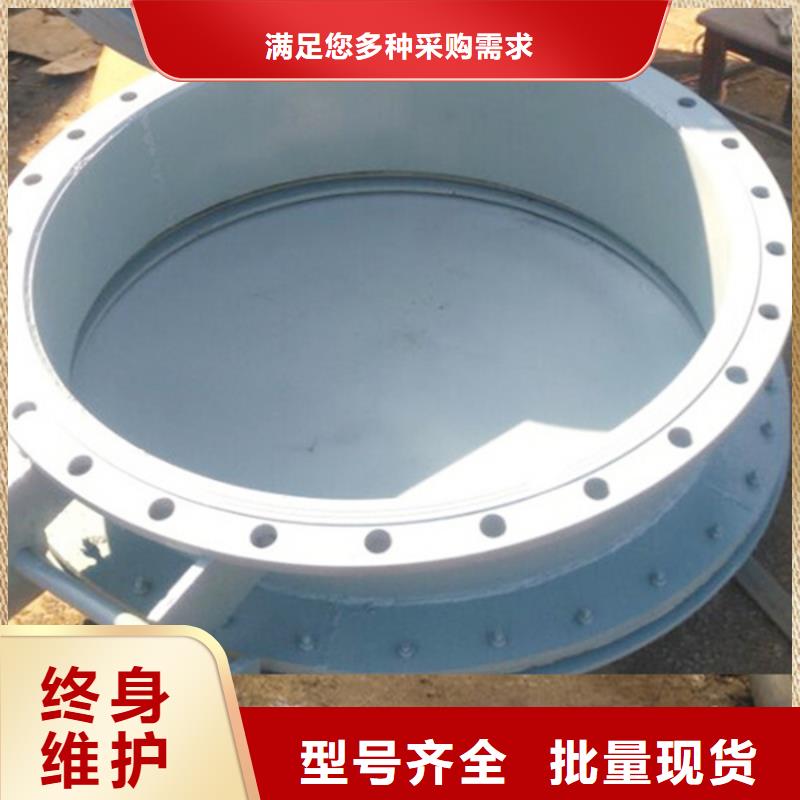 雙開門式拍門浮箱拍門廠家質(zhì)保一年專業(yè)生產(chǎn)N年