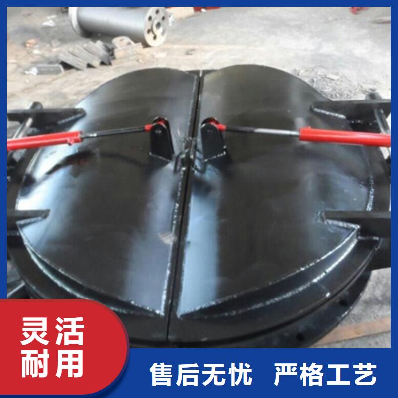 拍門雙開門式拍門廠家售后無(wú)憂同城生產(chǎn)商