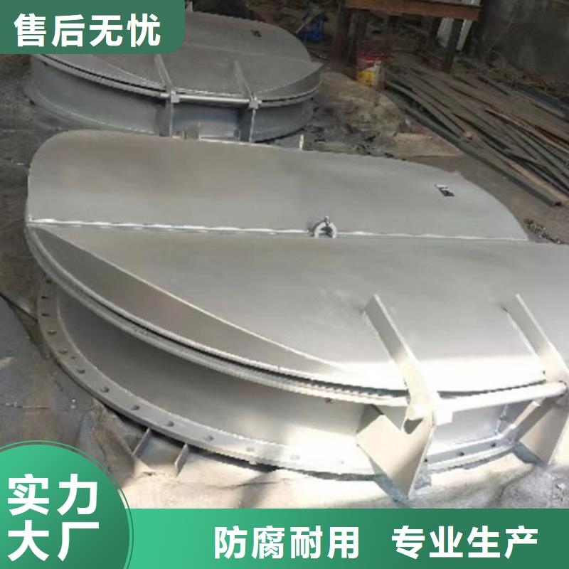 拍門(mén)復(fù)合材料拍門(mén)廠家專業(yè)設(shè)計(jì)同城供應(yīng)商