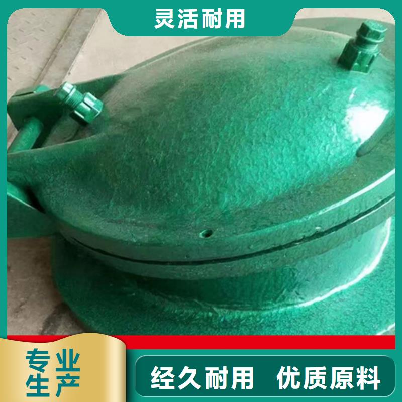 双开门式拍门方形拍门操作简单本地制造商