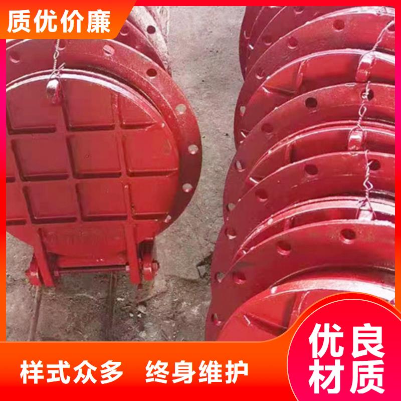 鑄鐵拍門復(fù)合材料拍門貨到付款廠家售后完善