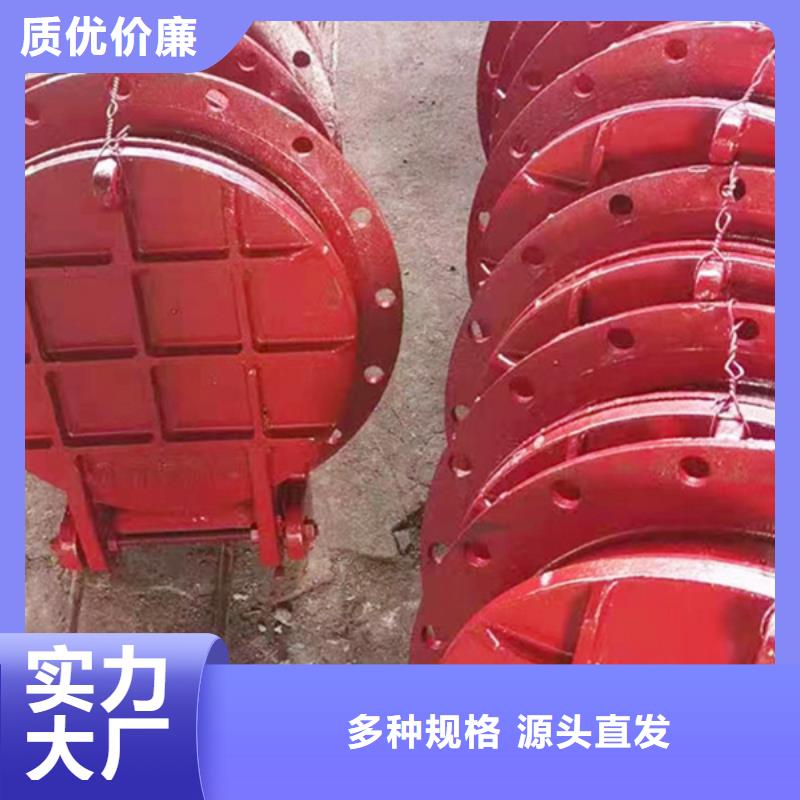 浮箱拍門鋼制圓拍門專業(yè)設計產(chǎn)品性能