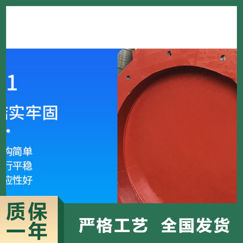 雙開門式拍門側(cè)開式拍門廠家質(zhì)保一年廠家
