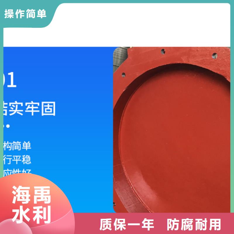 鑄鐵拍門單開拍門防腐耐用同城品牌