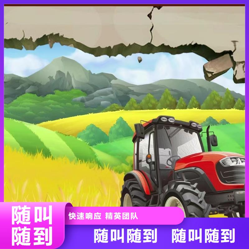 葫芦岛墙绘彩绘手绘墙画墙体彩绘诚信经营精英团队