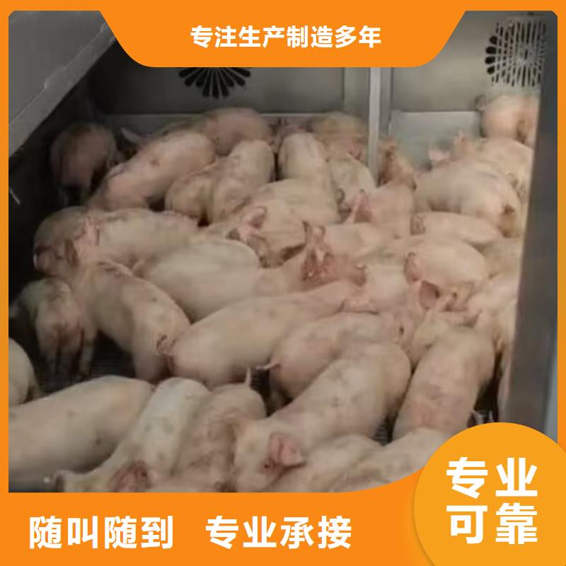 泗阳到池州农牧运输
