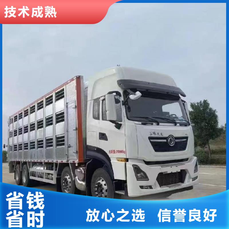 高港到徐闻肥猪运输恒温车服务至上