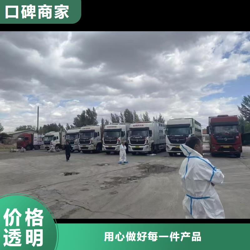 宿遷市沭陽到內(nèi)蒙古恒溫車運輸-恒溫車快捷