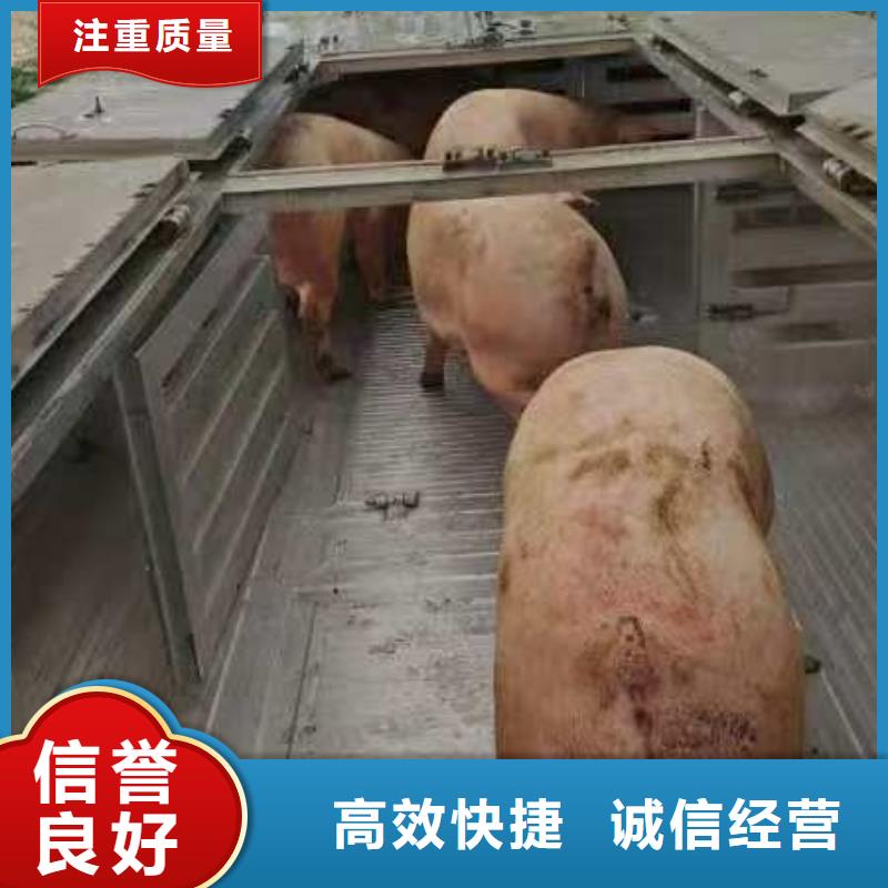 宿迁到扬州空调车运输方便快捷猪牛羊运输