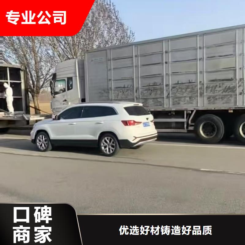杭州到池州猪牛羊运输专业团队种猪运输