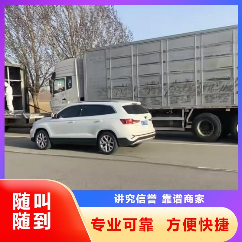 瀘州二育運輸品質(zhì)服務(wù)專業(yè)品質(zhì)種豬運輸