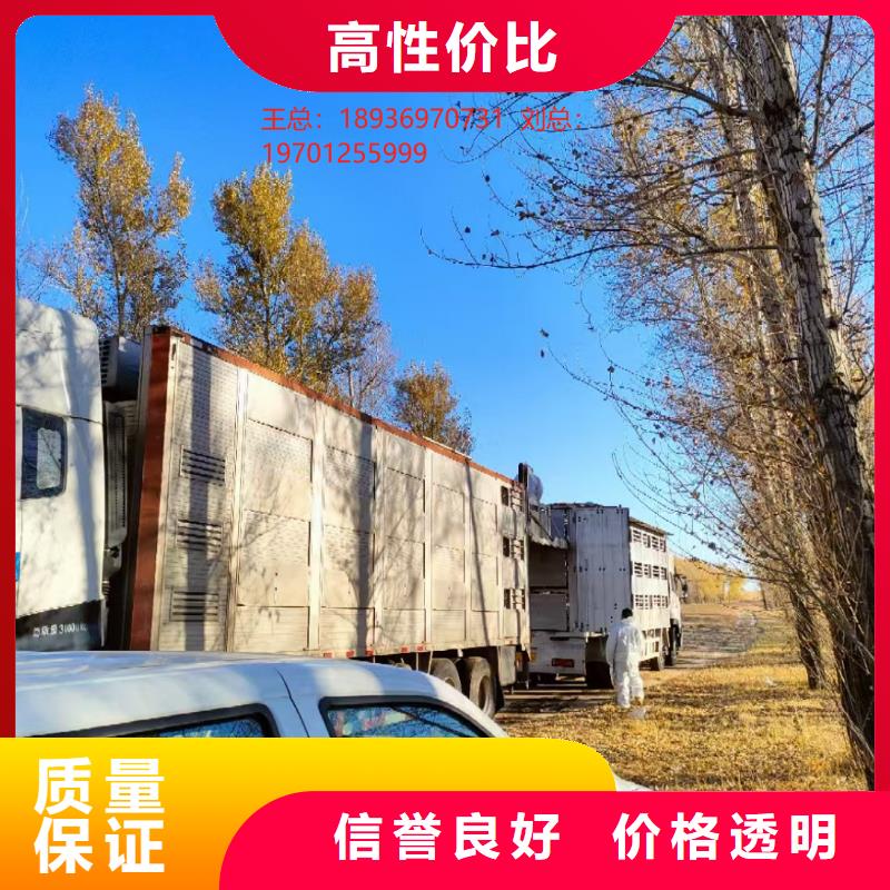 宿遷市泗陽到河南二育運輸-空調(diào)車專車專運