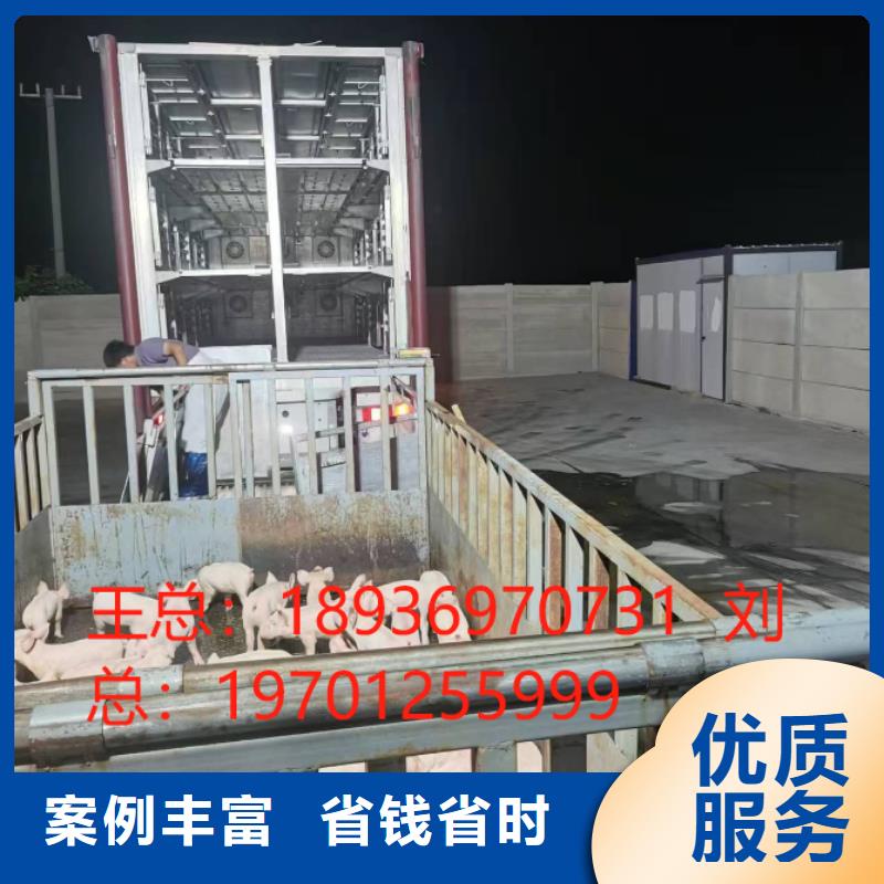淮安到來賓生豬運輸-空調(diào)車實力團(tuán)隊