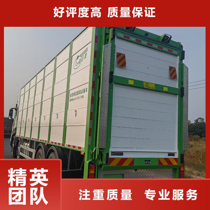 浙江到安慶活禽運輸