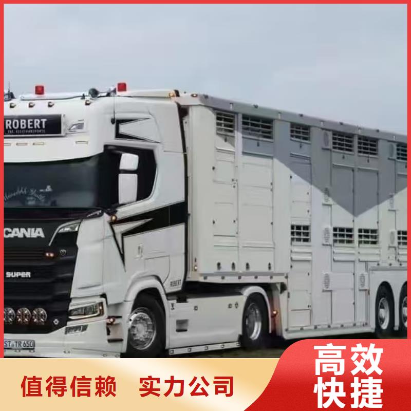 無錫到泰安種豬恒溫車運輸舒適自在
