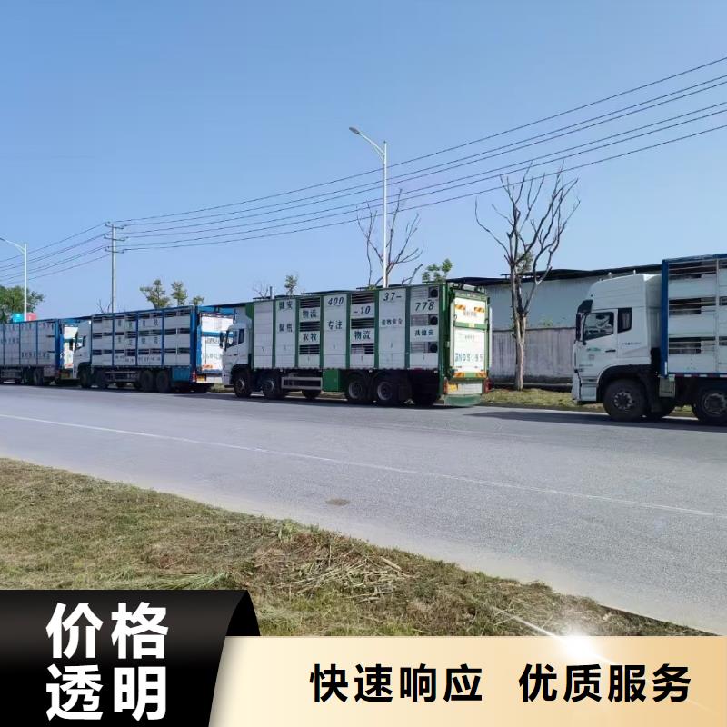 鹤壁到常德生猪运输恒温车专业品质