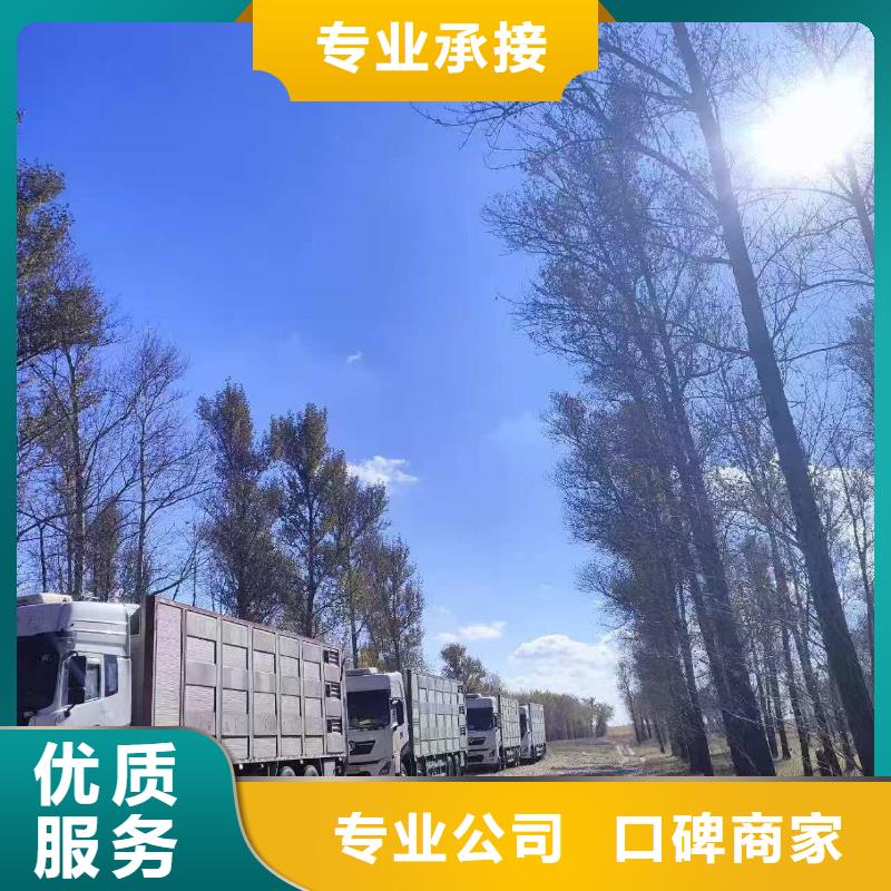 濟(jì)寧至西安散裝料專用車細(xì)致入微