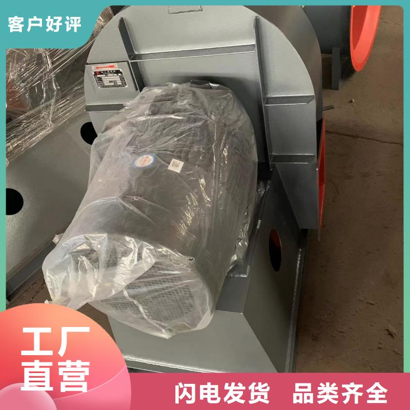 9-12NO8D復合肥專用尾氣風機資質認證2025已更新(今日/介紹)三葉羅茨鼓風機產品實拍
