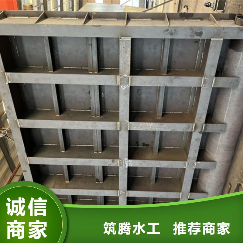液壓雙控翻板閘門規(guī)格齊全實(shí)力廠家真材實(shí)料誠(chéng)信經(jīng)營(yíng)