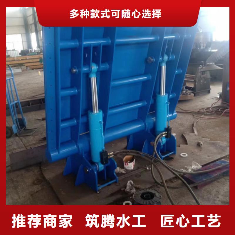 翻板閘門按需支持非標(biāo)定制