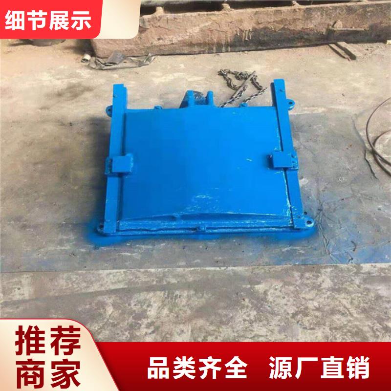 机闸一体式闸门源头厂家同城生产商