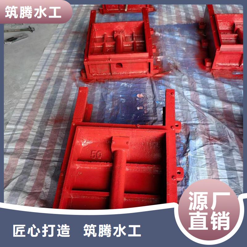 双向铸铁闸门型号齐全当地货源