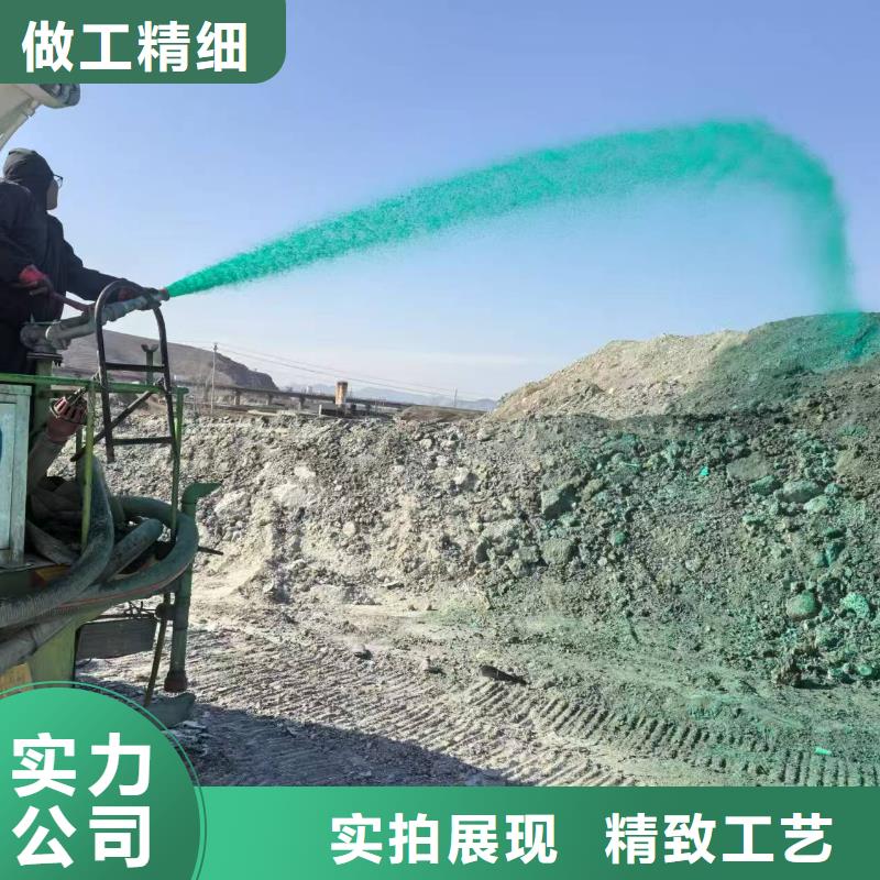 工地抑塵劑專業(yè)生產(chǎn)廠家礦用結(jié)殼抑塵劑廠家技術(shù)完善