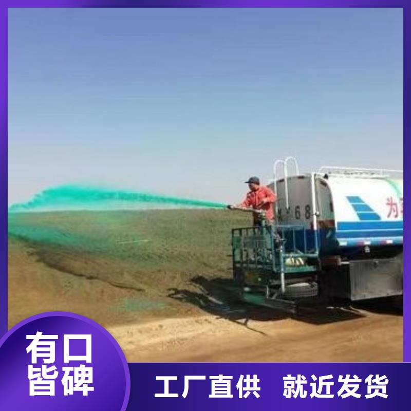 生物酶降塵劑pm10治理溶液當?shù)厣a(chǎn)商