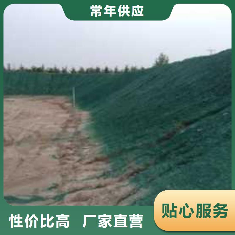 液體抑塵劑專業(yè)生產(chǎn)廠家大氣治理抑塵劑當(dāng)?shù)刂圃焐? />
                                <div   id=
