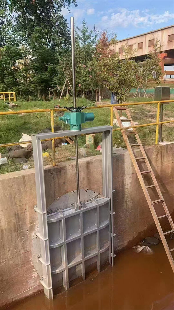 不锈钢闸门电动一体式不锈钢闸门质优价保