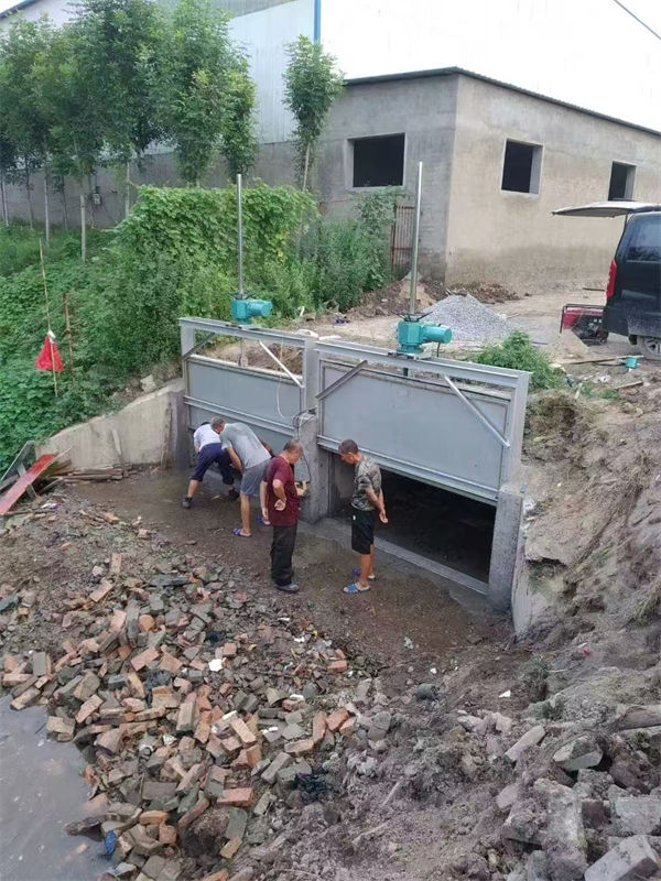 不銹鋼閘門不銹鋼渠道插板門隨到隨提