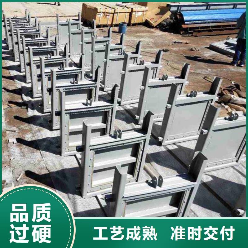 闸门钢制闸门同城供应商