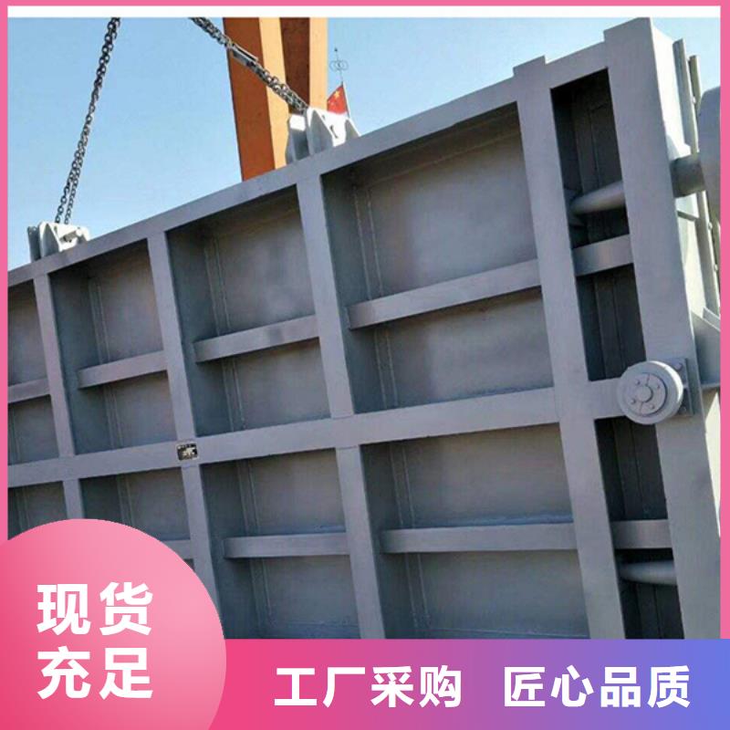 景观闸门实力雄厚品质保障