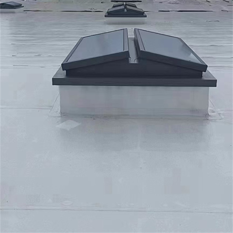 成品采光通風天窗實力商家