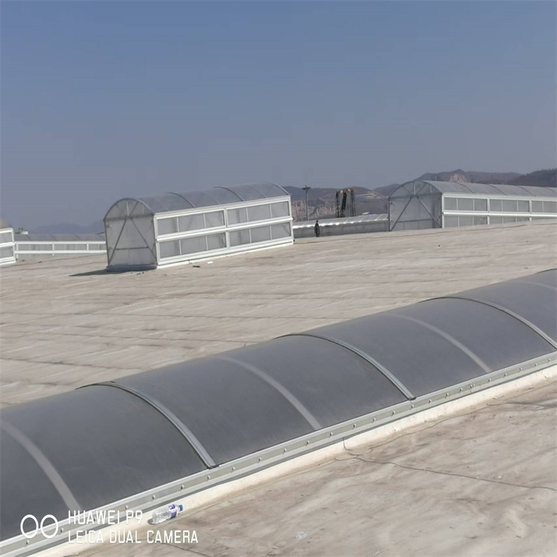 C型防雪薄型通風(fēng)排煙天窗訂制