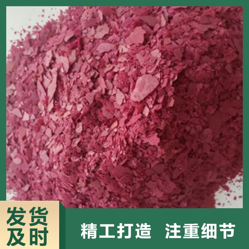 紫地瓜苗子2025新苗上市現(xiàn)貨采購(gòu)