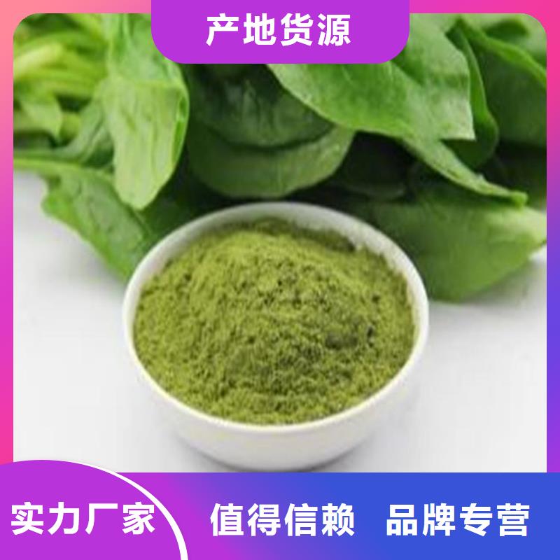 菠菜粉現(xiàn)貨供應(yīng)品質(zhì)優(yōu)良