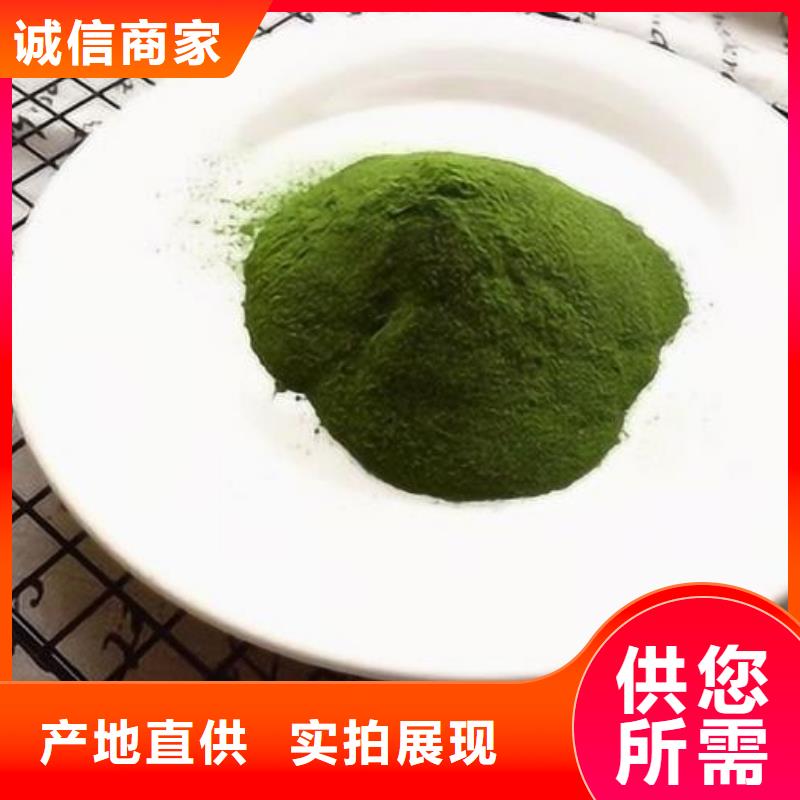 菠菜粉实力厂家同城品牌