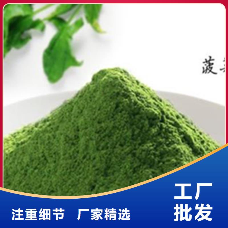 脫水菠菜粉全國發(fā)貨本地品牌