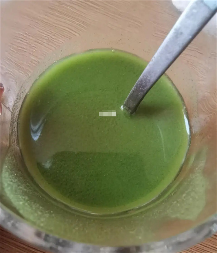 羽衣甘藍(lán)粉產(chǎn)品大廠家值得信賴