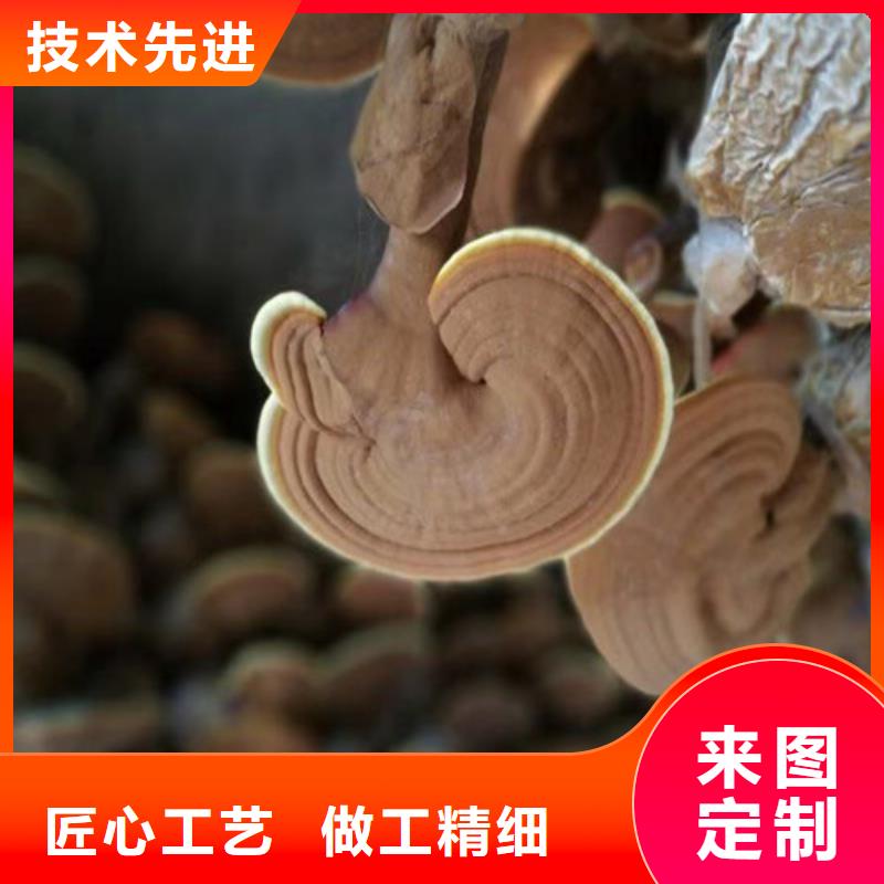 ##靈芝超微粉
廠家當(dāng)?shù)仄放?>
                    <h3>##靈芝超微粉
廠家當(dāng)?shù)仄放?/h3>
                </div>
            </a>
        </li>
      
      </ul>
		 <div   id=