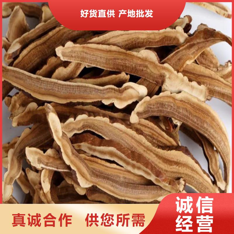 現(xiàn)貨供應(yīng)
孢子靈芝_誠(chéng)信企業(yè)