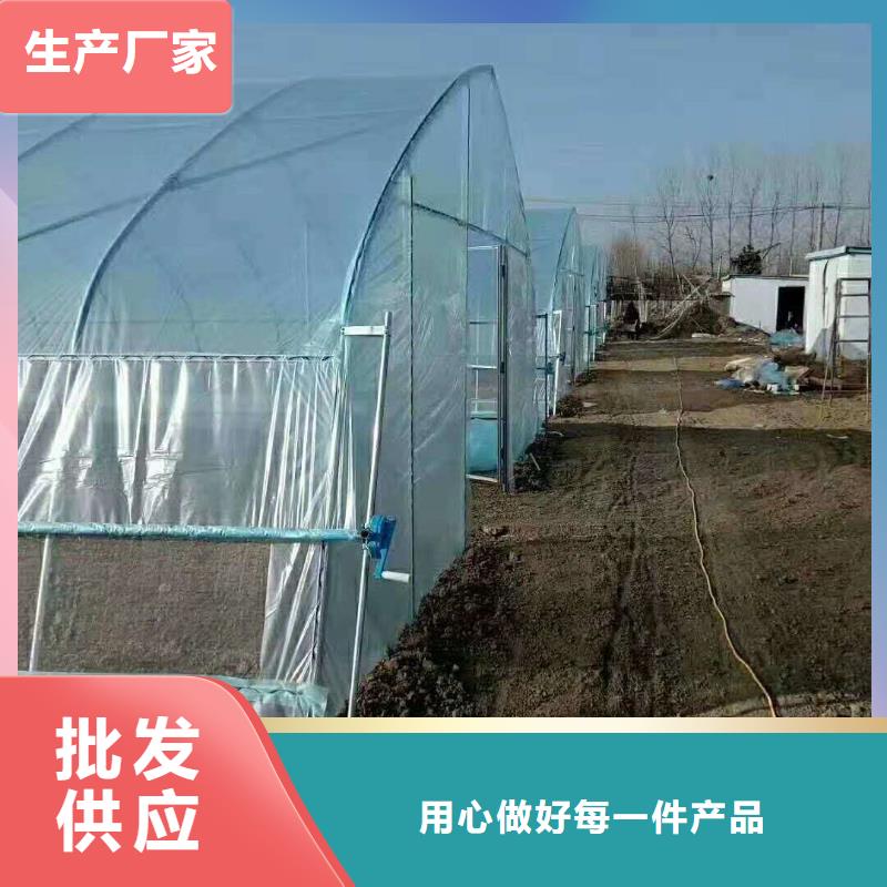 草莓養(yǎng)殖大棚管信賴客戶信賴的廠家