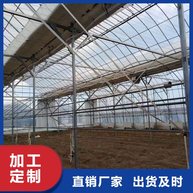 熱鍍鋅連體蔬菜大棚管,歡迎電詢專業(yè)設計