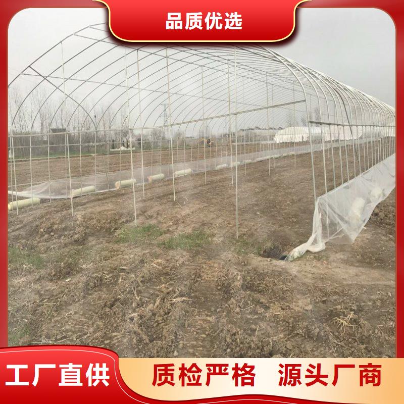 来安县葡萄大棚钢管6分怎么卖产品细节参数