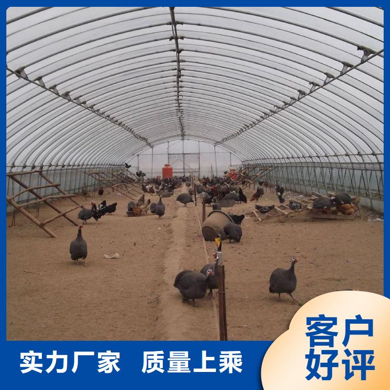 大棚管2大棚管廠(chǎng)家好產(chǎn)品價(jià)格低好產(chǎn)品不怕比