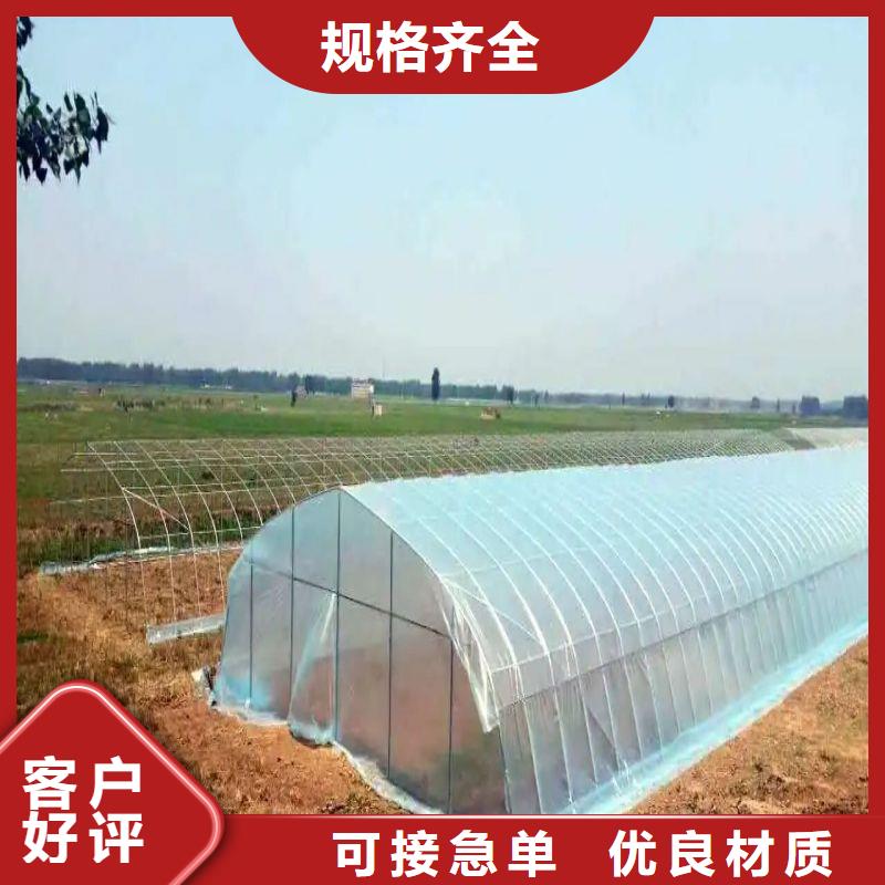 連棟大棚鋼管售賣正品保障