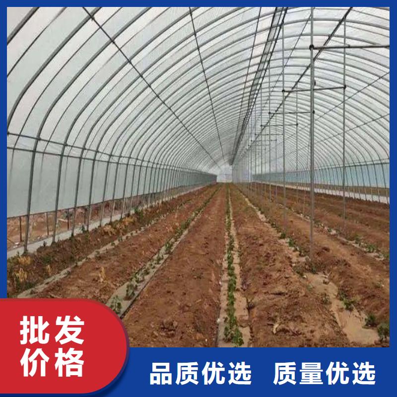 伊川縣連棟溫室大棚有興趣注重細(xì)節(jié)